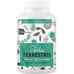 American Supps Tribulus Terrestris | 90% Saponins [90 капсули]