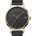 Wenger 01.1731.113