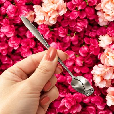AE Ocelová lžička Rose 728485