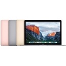 Notebooky Apple MacBook MLH72CZ/A