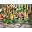 Enjoy - Puzzle Herbs and Spices - 1 000 piese