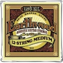 Ernie Ball 2012