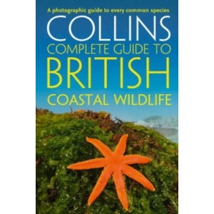 British Coastal Wildlife | Paul Sterry (ISBN: 9780007413850)
