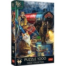 Trefl Magic Collection 1000 Witch Express