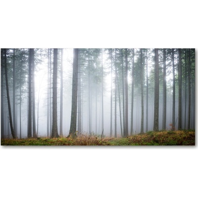 Fotoobraz na skle Hmla v lese 100x50 cm
