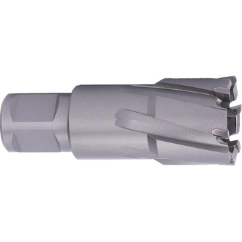 ABSE N-CA-W19-0290035