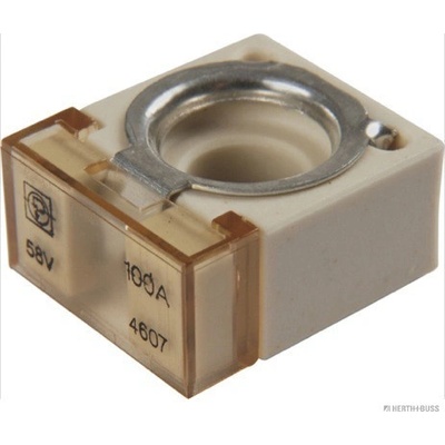 Poistka HERTH+BUSS ELPARTS 50295882