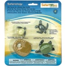 Safari Životní cyklus Mořská želva