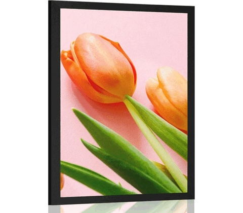 Plagát tulipán