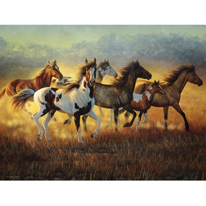 SunsOut - Puzzle Fisher: Running with the Wind - 500 piese