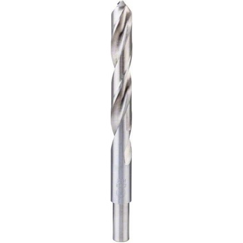 Bosch 2608585894