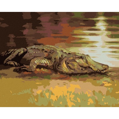 Zuty Malování Podle Čísel Aligátor Ležící U Vody D Rusty Rust 40 x 50 Cm Plátno Rám