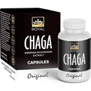 Royal Chaga 90 ks