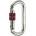 Camp Compact Oval Lock