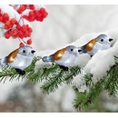 MagicHome Reťaz A Bird 25x LED IP44 3xAA osvetlenie 5 vtáčikov