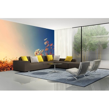 DIMEX ART s. r. o Самозалепваща се флизелинова фототапета красива цветна поляна 375 x 250 см