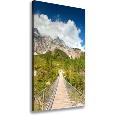Vertikálny foto obraz canvas Visiace most 50x100 cm