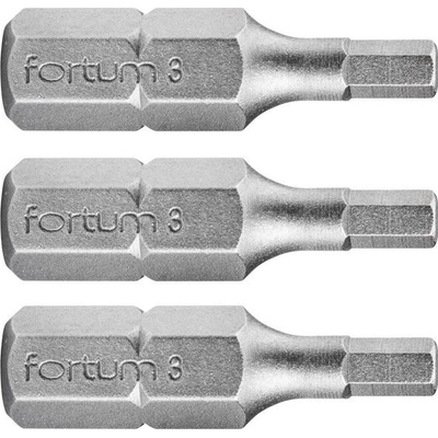 Fortum 4741504 Bit imbus 3ks, H 3x25mm, S2