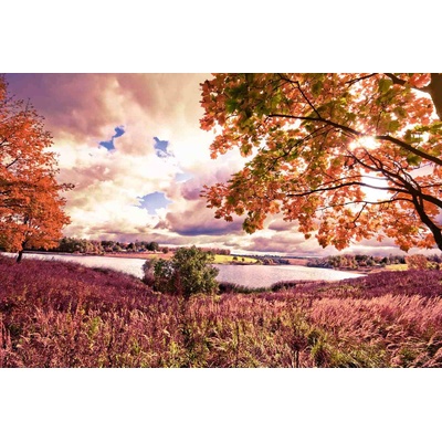 DIMEX ART Флизелинов фототапет есенна кленова гора 375 x 250 см