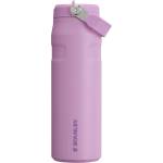STANLEY 1913 Flip Straw Drinking Bottle with Straw 0.7L - Thermal Mug Cools for 10 Hours - Ice Cold for 3 Days - BPA Free - Leakproof - For Drink Holders - Dishwasher Safe - Lilac - 100000143062 (10-13072-083