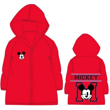 E plus M Mickey Mouse
