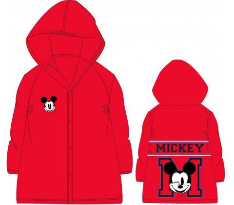 E plus M Mickey Mouse