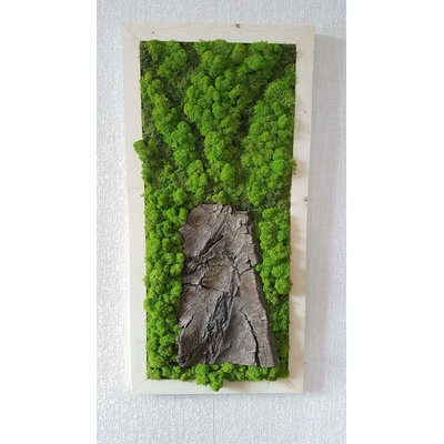 Mechový obraz s přírodní kůrou 100cm x 30cm
