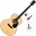 Pasadena PG-100 Standard SET Natural Джъмбо китара