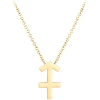 JVD Pozlátený náhrdelník s príveskom strelec SVLN0195XH2GOST