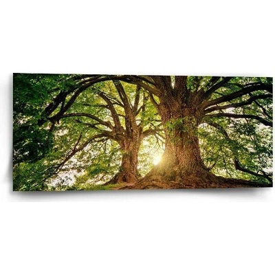 Sablio Obraz Stromy - 110x50 cm