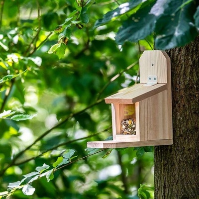 CJ Wildlife Kŕmidlo pre veveričky pre domácich majstrov Sanjo
