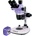 Magus Stereo D8T Plus