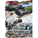 Két forradalom között