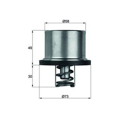 Termostat, chladivo MAHLE THD 1 79 THD 1 79