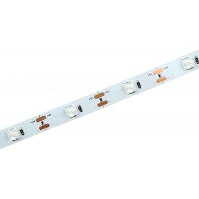 T-LED 12LENS 2818