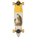 Globe Pintail 34