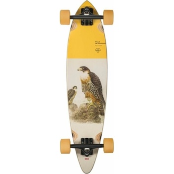 Globe Pintail 34