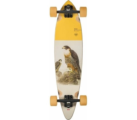Globe Pintail 34