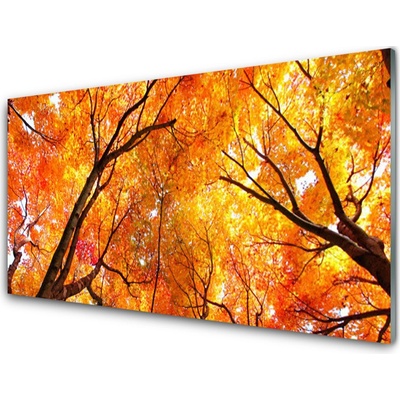 Obraz na skle Stromy Příroda 100x50 cm