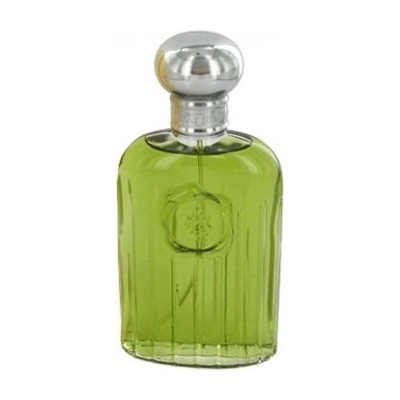 Giorgio Beverly Hills Giorgio toaletní voda pánská 90 ml