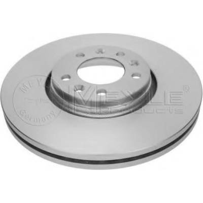 MEYLE Brzdový kotouč PLATINUM DISC - 304 mm ME 215 521 0032/PD