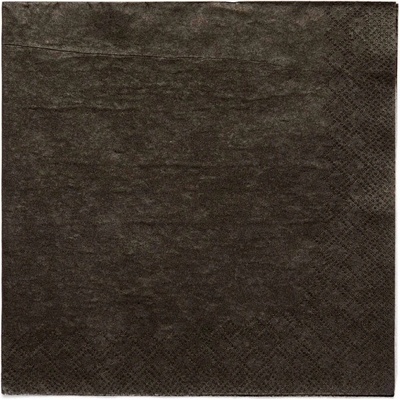 Amscan Servítky papierové čierne Charcoal 33x33cm 20 ks