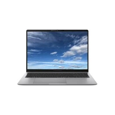 Asus ExpertBook P3 PM3606CHA-MB0215
