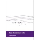 Synchronizace sítí