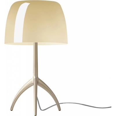Foscarini FN026021EH_12D