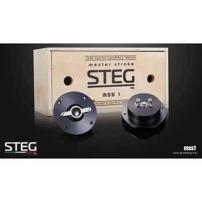 STEG MSS1
