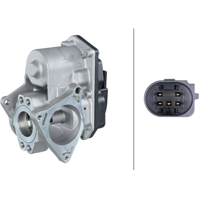 AGR - Ventil HELLA 6NU 010 171-801