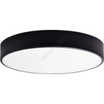 Polux RENE 317445