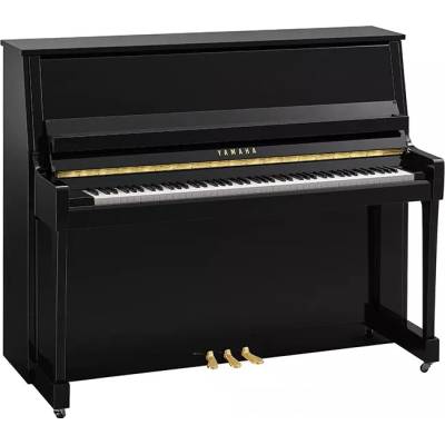Yamaha B30 PE