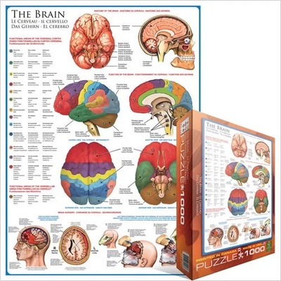 EUROGRAPHICS - Puzzle Brain - 1 000 piese
